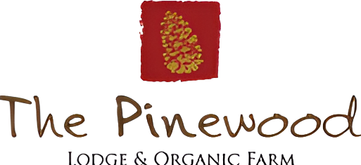Pinewood Hotel